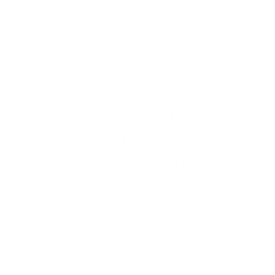 Bull Credtech