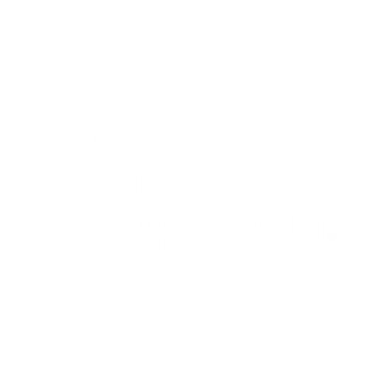 Serasa Experian